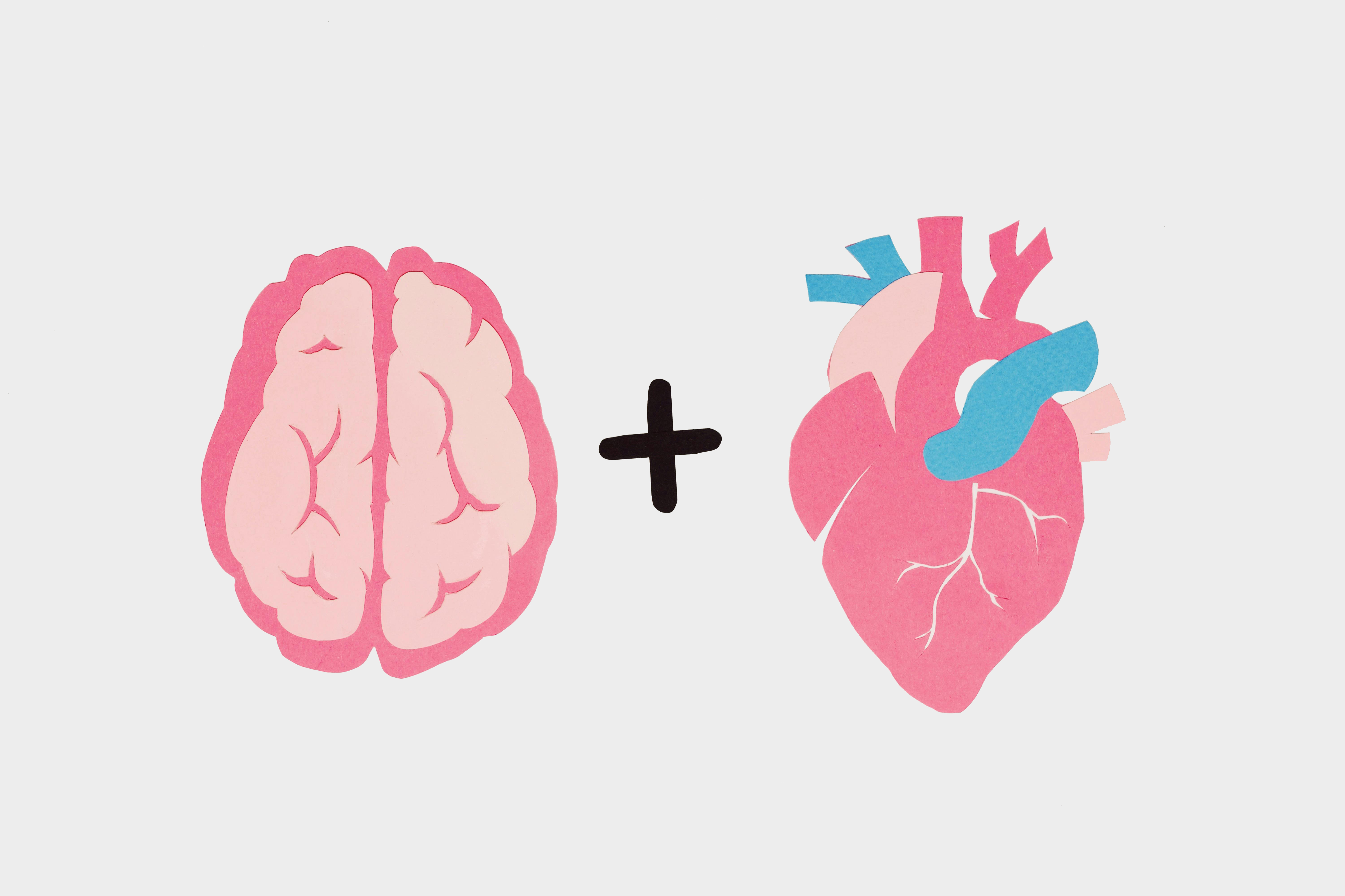 Brain science coaching